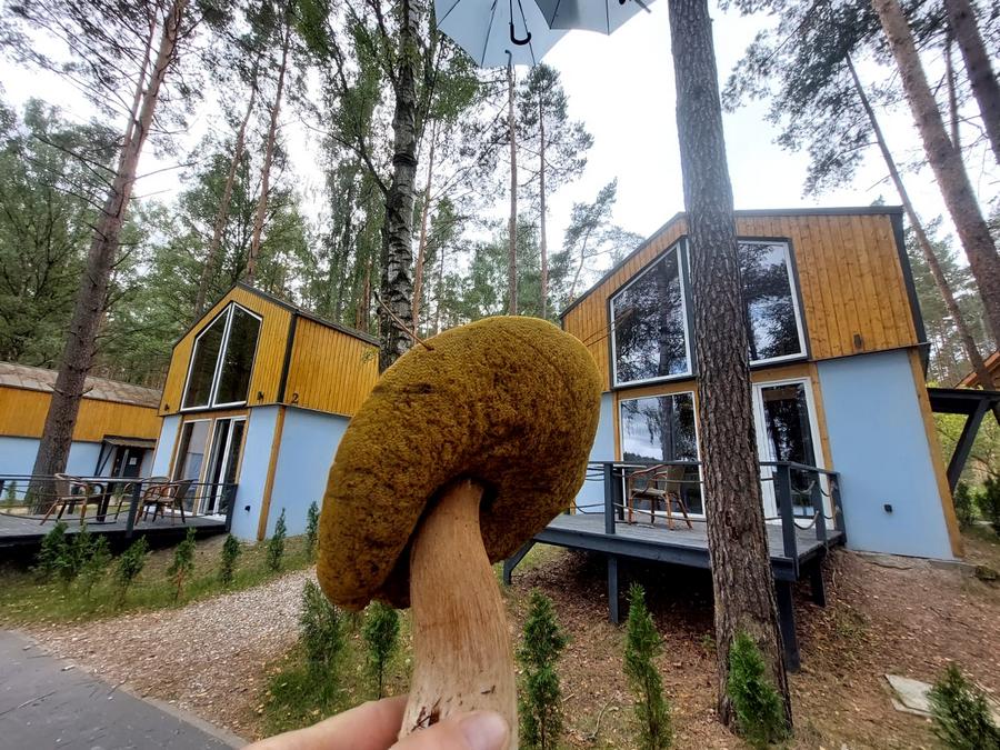 domki w borach tucholskich